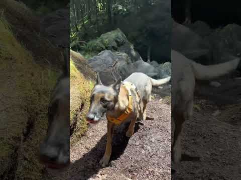 ⛰️ESCAPADE ENTRE CAVALIERS DANS LES PYRÉNÉES ⛰️#équitation #equestrianjourney #pyrenees