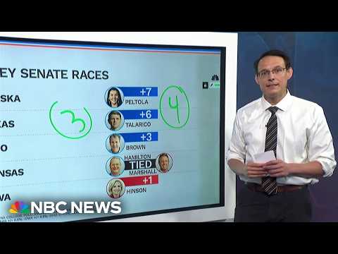Steve Kornacki analyzes voter trends ahead of midterm elections