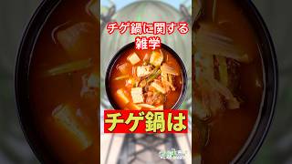 チゲ鍋に関する雑学🍲 #shorts #雑学 #vtuber