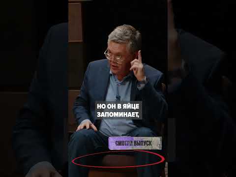 Как животные запоминают голоса? 🤓👍
