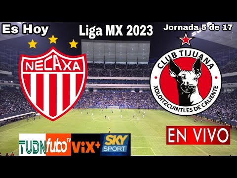 Necaxa vs. Tijuana en vivo, donde ver, a que hora juega Necaxa vs. Xolos Liga MX 2023
