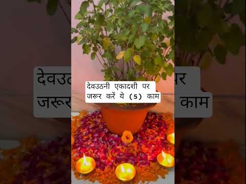 देव उठनी एकादशी पर जरूर करें ये 5 काम | dev uthni ekadashi upay | pradeep mishra dhan prapti upay