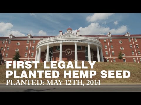 First Legally Planted Hemp Seed: Murray State