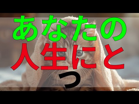 テレフォン人生相談 あなたの人生にとって大切なことは？どうしても取り戻せないものと向き合う。