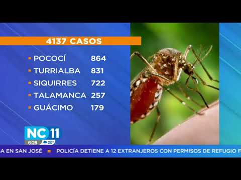 Ministerio de Salud reporta más de 4 mil casos de dengue