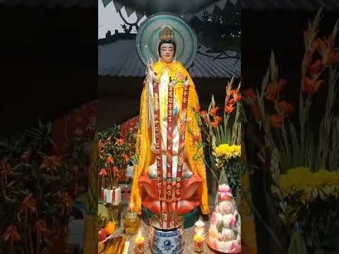 LÒNG TỪ BI LÀ CỘI NGUỒN CỦA MỌI HẠNH PHÚC. CHIỀU TÀ LẤT PHẤT MƯA ĐẾN VIẾNG MẸ