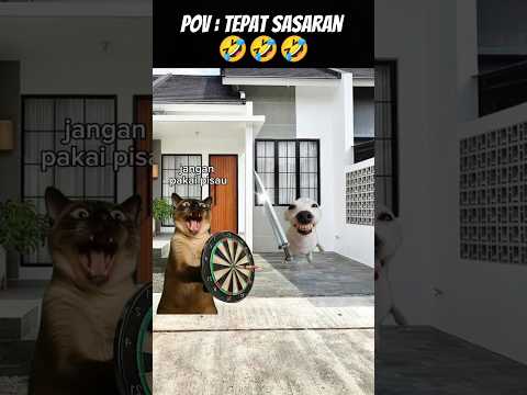 Pov : Lempar Sep 😂 #meme #cat #kucing #kucinglucu #kucingdubbing #animation