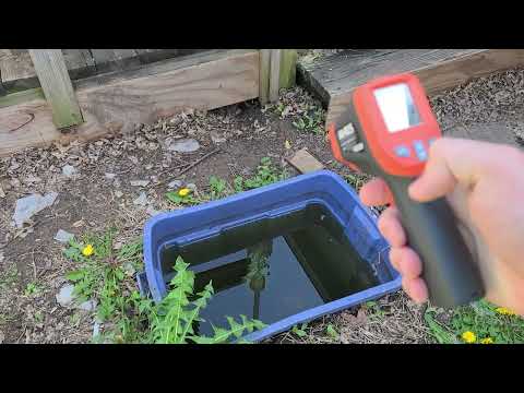 Can Neocaridina Shrimp Over Winter in My Pond Can Neocaridina Shrimp Over Winter in My Pond

If you want live food cultures, plants, 3d printed st
