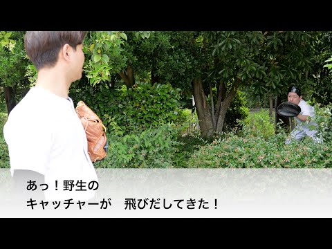 野生のキャッチャーが現れる雰囲気