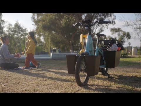 Let your car go with the Trek Fetch+ 2