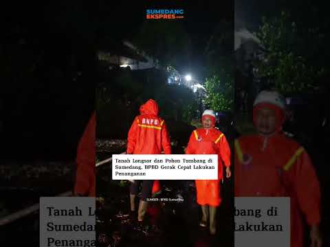 Tanah Longsor dan Pohon Tumbang di Sumedang, BPBD Gerak Cepat Lakukan Penanganan