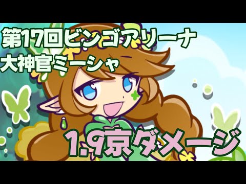 【ぷよクエ】 第17回ビンゴアリーナ 大神官ミーシャ 1.9京ダメージ