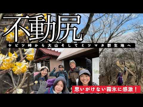 【3月 丹沢大山・不動尻】奇跡的な霧氷の大山に感動〜冬と春を味わう縦走となりました　#50代 ＃ミツマタ群生地 #初心者縦走