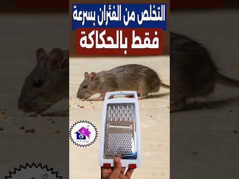 طرد الفئران بسرعة