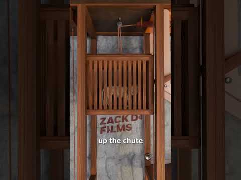 How Lions Suddenly Appeared Inside The Colosseum 😮