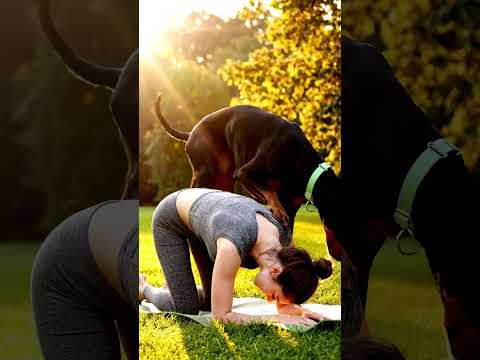Yoga Moments I Share with My Big Dog ❤️ #goldenretriever #goldenretreiver #puppy #footballplayer