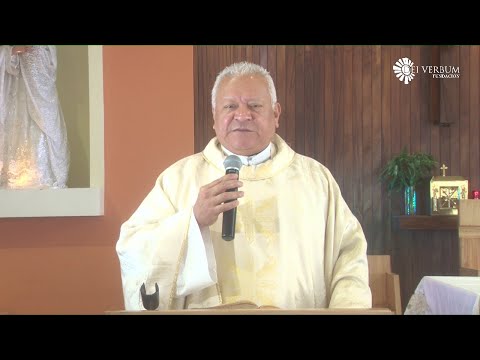 El Obrar del Espíritu Santo en Nosotros - Homilía 17 de mayo de 2020 - Pbro Martín Ávalos