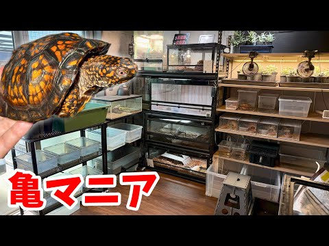 【お宅訪問】カメにはまって新築の家に専用部屋を作ったマニアがヤバすぎた...!!!