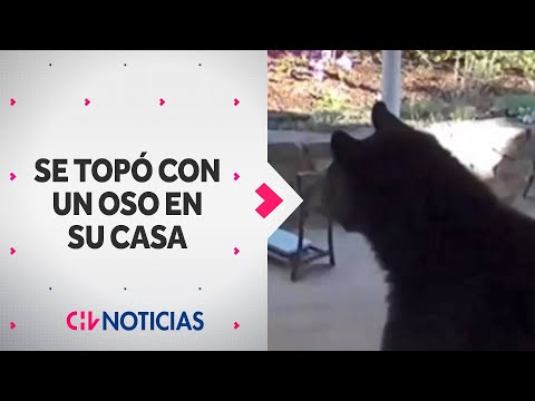 INCREÍBLE REACCIÓN: Hombre se topó con un oso dentro de su casa en Estados Unidos - CHV Noticias