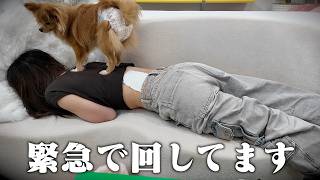 動画サムネイル