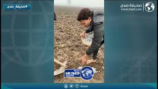 جالس يزرع الفلوس