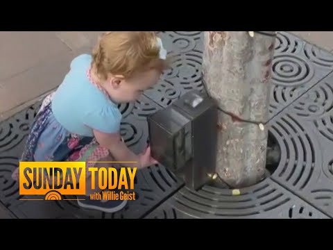 1-Year-Old Girl Goes Viral For Thinking Everything Is A Hand-Sanitizer Dispenser | Sunday TODAY