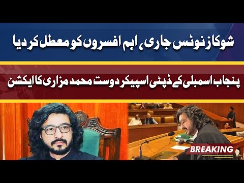 Deputy Speaker of Punjab Assembly Dost Muhammad Mazari In Action | Dunya News