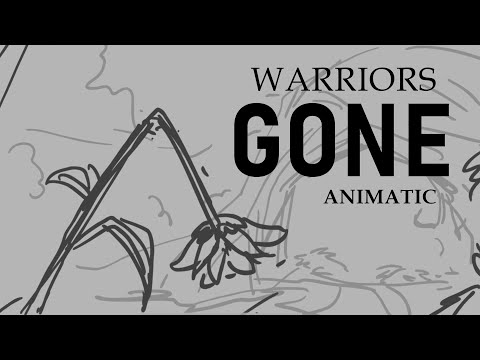 GONE | Warriors storyboard