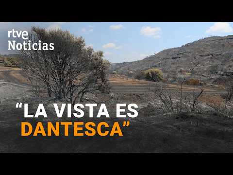 El fuego avanza en Guadalajara y da un respiro a Aragón | RTVE Noticias