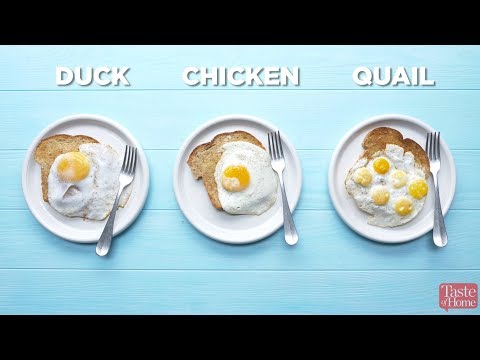 Frying Eggs: Duck, Quail & Chicken