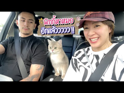 พิกกี้กำลังจะเป็นหนุ่มแล้ว-ใคร พิกกี้กำลังจะเป็นหนุ่มแล้ว-ใคร
