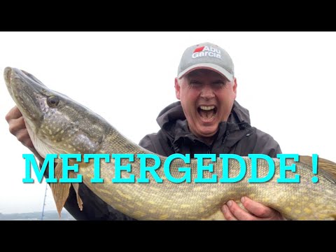 Metergedde!