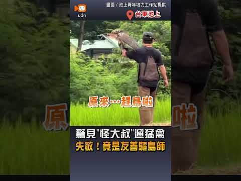 【生活】台東池上驚見「怪大叔」遛猛禽 失敬！竟是友善驅鳥師