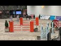 حصان القفز Fijn springpaard met veel vermogen