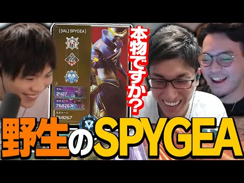 【いつも見てます】ボドカさんとランクを回していたら野良のSPYGEA(本物)と奇跡的にマッチする【ApexLegends】