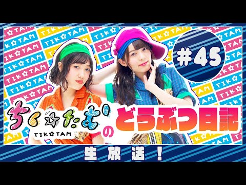 「ちく☆たむのどうぶつ日記 生配信！！」＃45