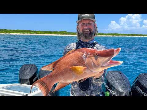 Primitive freedive spearfishing bahamas - pole spears only video thumbnail