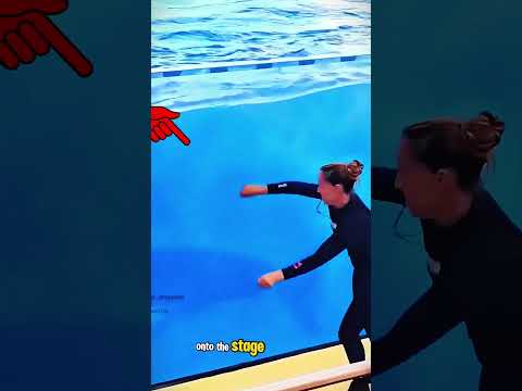 The Dolphin’s Amazing <strong>Dance</strong> Will Leave <strong>You</strong> Speechless! 🐬😍❤️