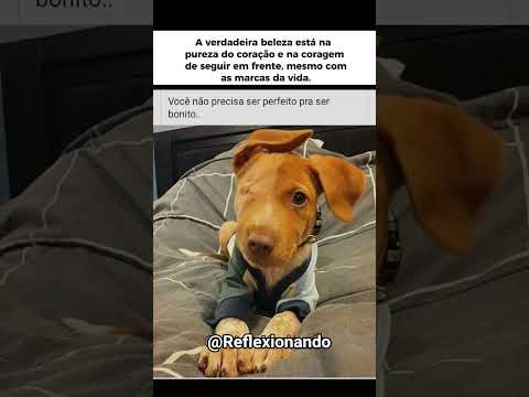 Você não precisa ser perfeito pra ser amado