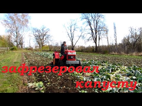 Фрезерование капусты.