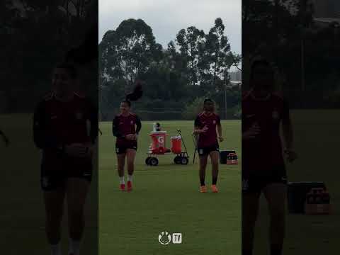 image para ilustrar o artigo