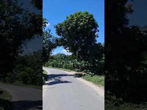 o mon re,,,, #আকাশ #foryou #trending #thakurgaon