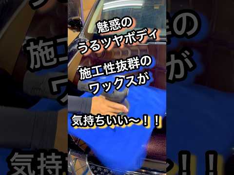【ワックス】知らないと損するセイバーの施工方法【ポリッシャー】 #洗車 #研磨 #コーティング #車 #車好き #car #diy #detailing #shorts #youtubeshorts