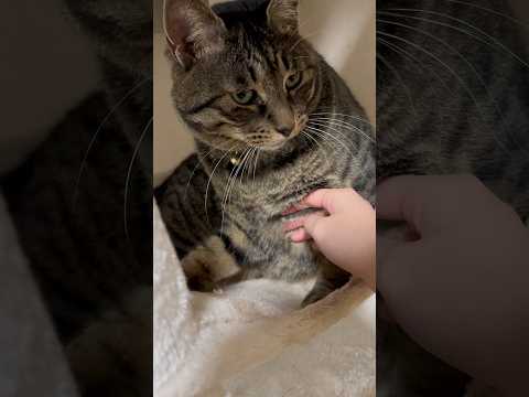 控えめなブチギレ