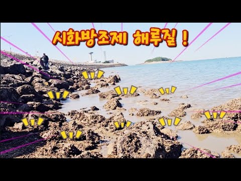 1년만에 시화방조제에서 낮루질 했는대 30분에 만만통! 입이 떠억 벌어집니다