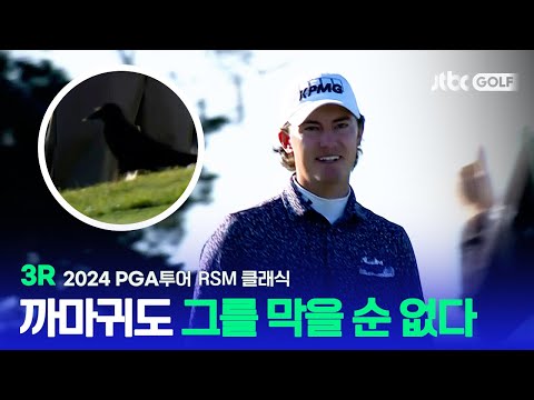 [PGA투어] 퍼트 하는데 까마귀가 옆에서 방해를?! 3R 하이라이트ㅣRSM 클래식