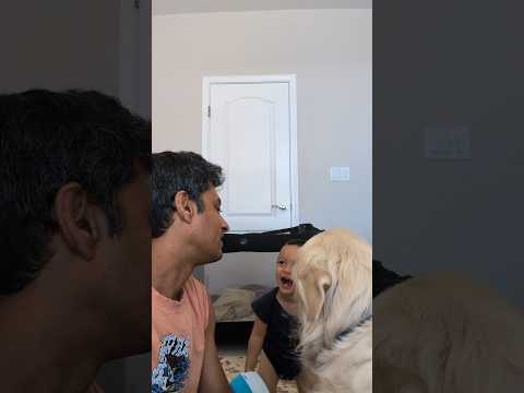 Golden Moments with My Baby & Pup ✨👶🐕