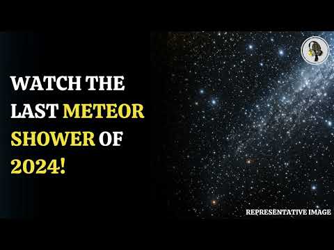 Watch The Ursid Meteor Shower: 2024's Final Celestial Show | WION Podcast