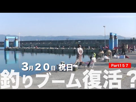 【釣り場の様子】大きなアジ釣れていました 🐟😄 サビキ釣りを始められた方に ご参考に成れば…🔰Part 157#和歌山釣り#塩津漁港#マリーナシティ#田ノ浦漁港#雑賀崎漁港