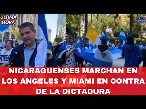 Nicaraguenses Marchan en Los Angeles y Miami En Contra de la Dictadura